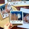 stamford-burghley-christmas-cards
